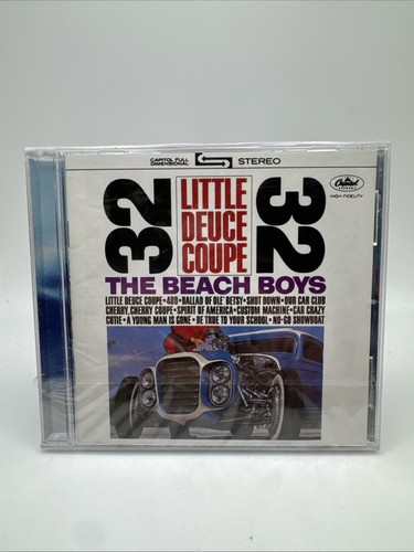 The beach boys little - the,